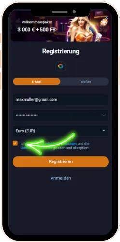 Accept the terms and conditions